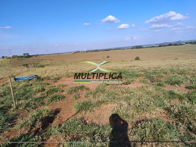 #684 - Sítio para Venda em Fronteira - MG - 3