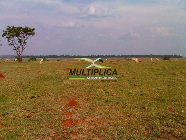 #661 - Fazenda para Venda em Ituiutaba - MG