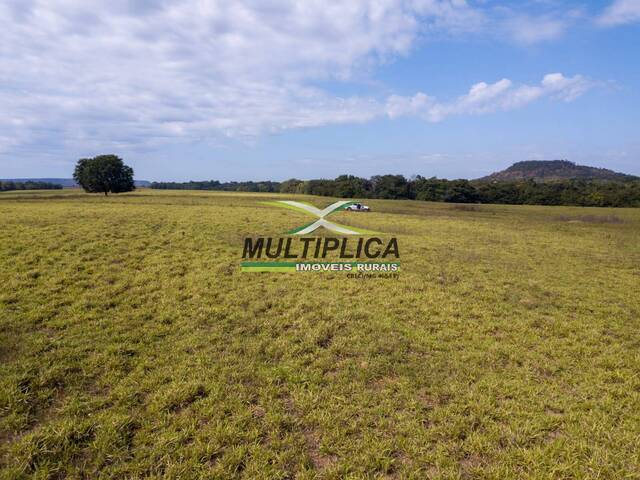 #686 - Fazenda para Venda em Goiatins - TO - 1