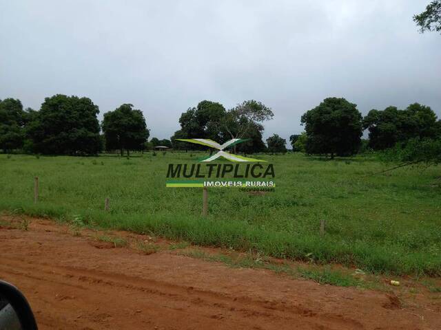 #687 - Fazenda para Venda em Jussara - GO