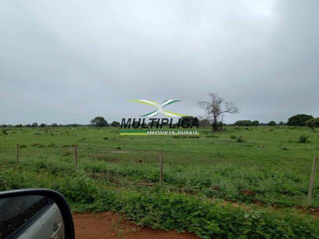 #687 - Fazenda para Venda em Jussara - GO - 3