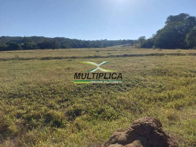 #689 - Fazenda para Venda em Ituiutaba - MG - 3