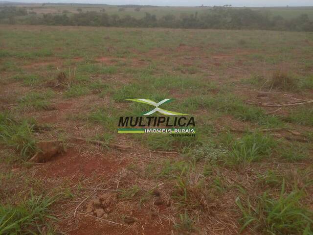 #690 - Fazenda para Venda em Delta - MG - 2