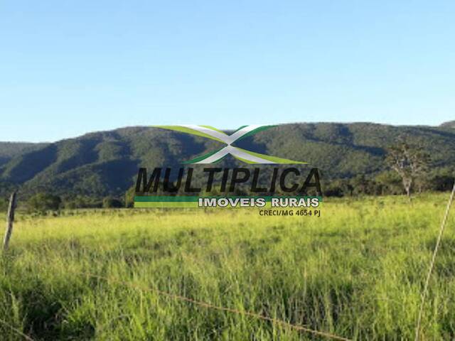 #691 - Fazenda para Venda em Alto Paraíso de Goiás - GO - 3