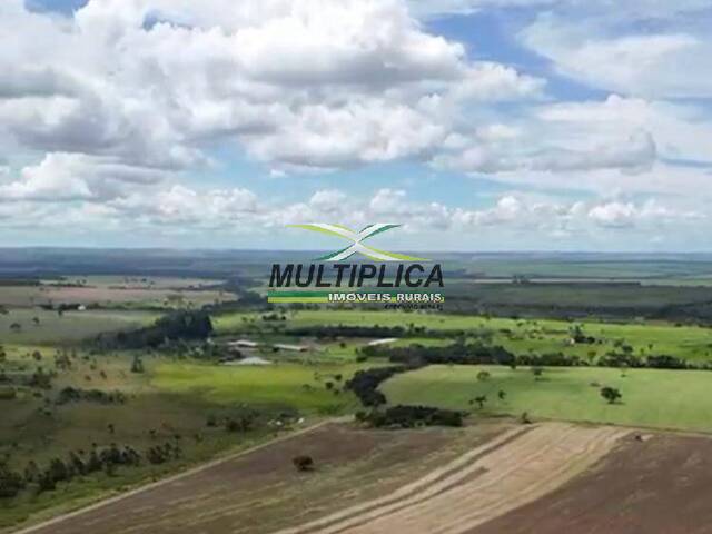 #692 - Fazenda para Venda em Monte Alegre de Minas - MG