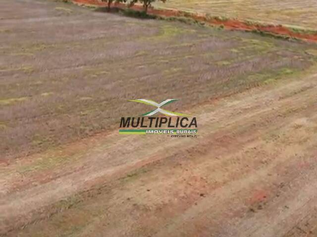 #692 - Fazenda para Venda em Monte Alegre de Minas - MG