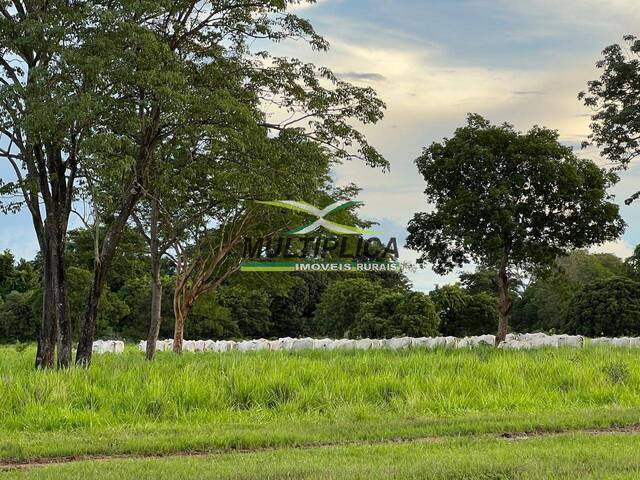 #693 - Fazenda para Venda em Aruanã - GO - 3
