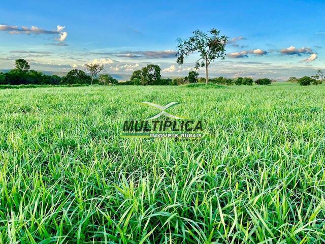 #696 - Fazenda para Venda em Campina Verde - MG