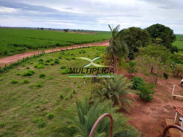 #697 - Fazenda para Venda em Suzanápolis - SP