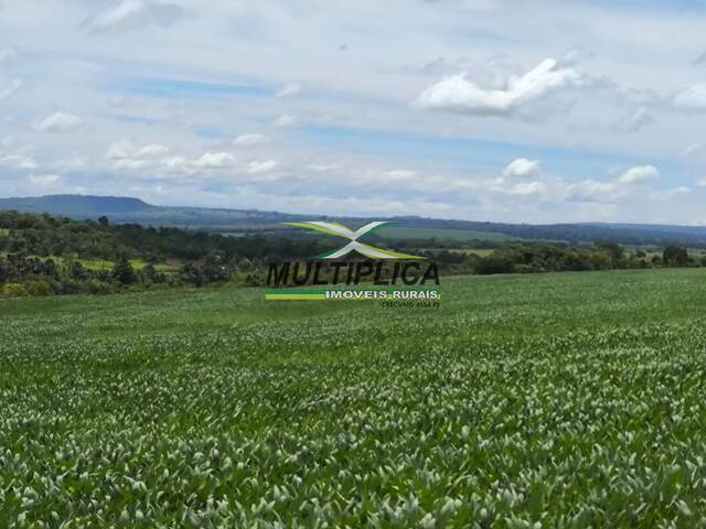 #698 - Fazenda para Venda em Campina Verde - MG - 2