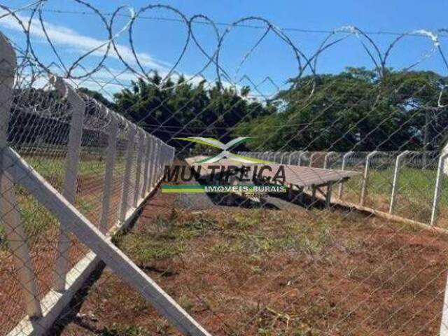 #703 - Fazenda para Venda em Uberlândia - MG - 2