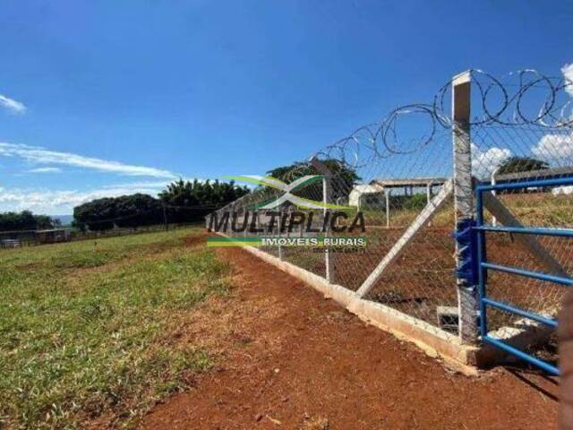 #703 - Fazenda para Venda em Uberlândia - MG - 3