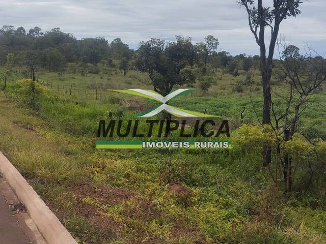 #704 - Fazenda para Venda em Alto Garças - MT - 1