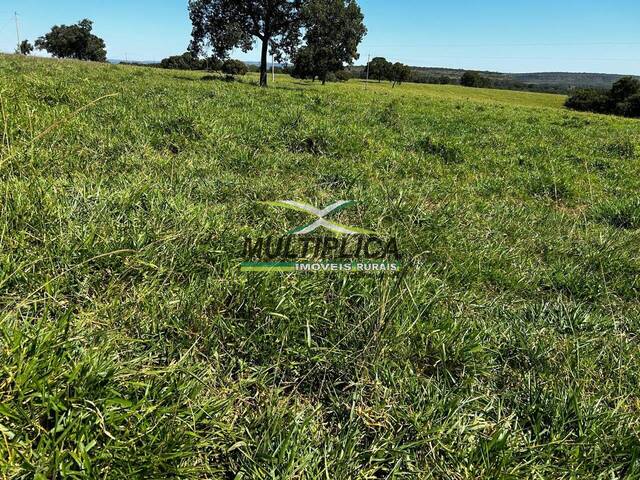 #705 - Fazenda para Venda em Mineiros - GO - 1