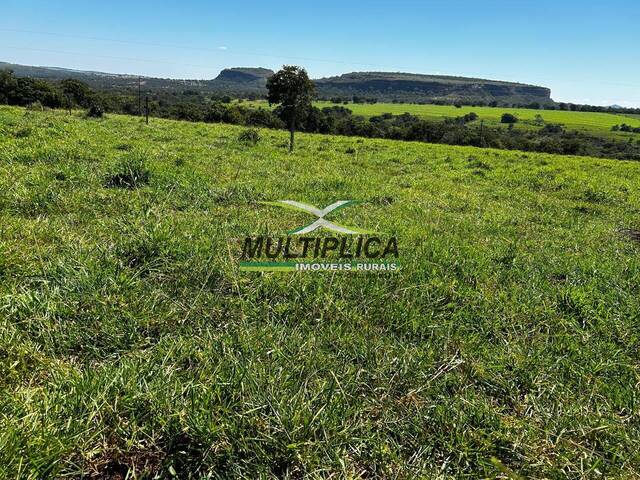 #705 - Fazenda para Venda em Mineiros - GO - 2