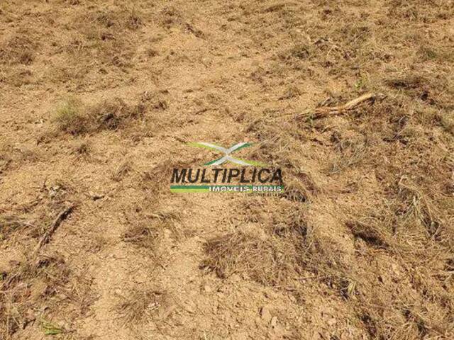 #706 - Fazenda para Venda em Uberlândia - MG - 2