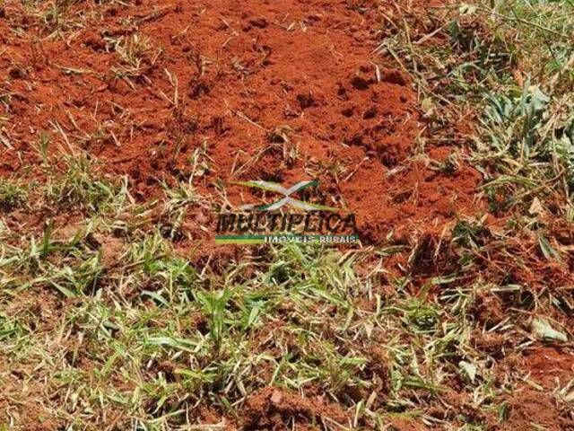 #706 - Fazenda para Venda em Uberlândia - MG - 3
