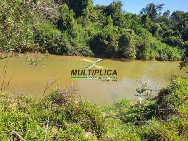 #706 - Fazenda para Venda em Uberlândia - MG - 1