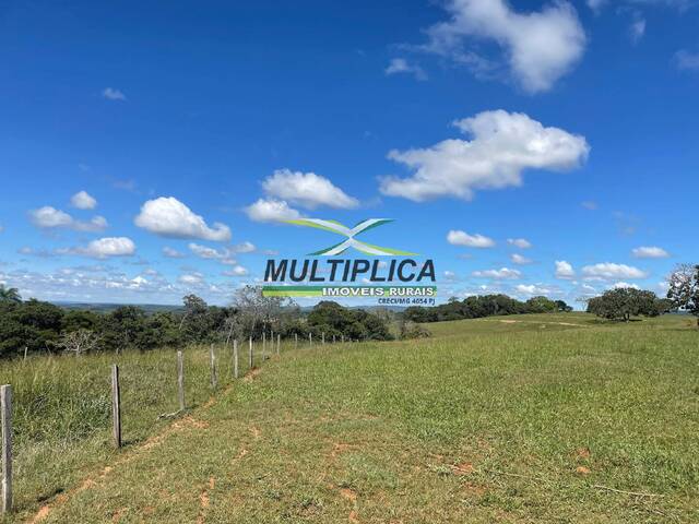 #707 - Fazenda para Venda em São Gonçalo do Abaeté - MG - 1