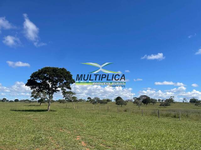 #707 - Fazenda para Venda em São Gonçalo do Abaeté - MG - 2