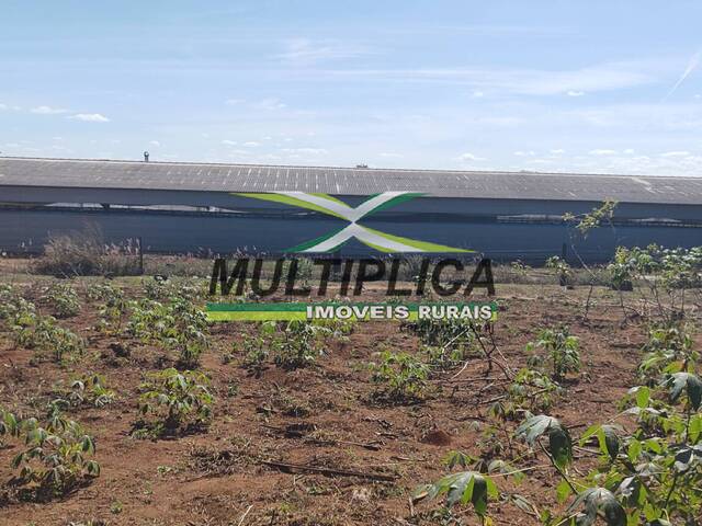 #709 - Sítio para Venda em Uberlândia - MG - 2