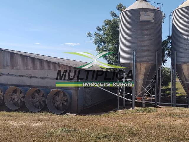 #709 - Sítio para Venda em Uberlândia - MG - 1