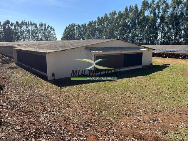 #710 - Fazenda para Venda em Uberaba - MG - 1