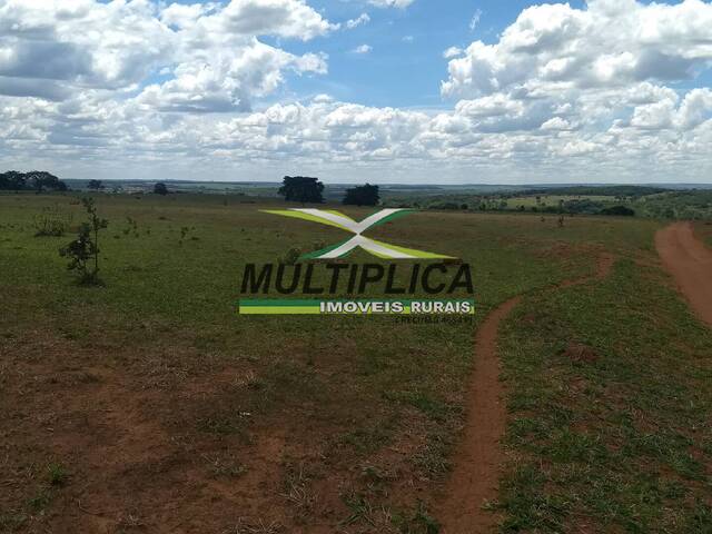 #719 - Fazenda para Venda em Uberlândia - MG - 1