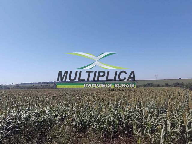 fazenda a venda em Frutal MG em lavoura a 25 anos