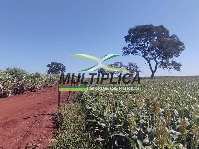 #720 - Fazenda para Venda em Frutal - MG - 2