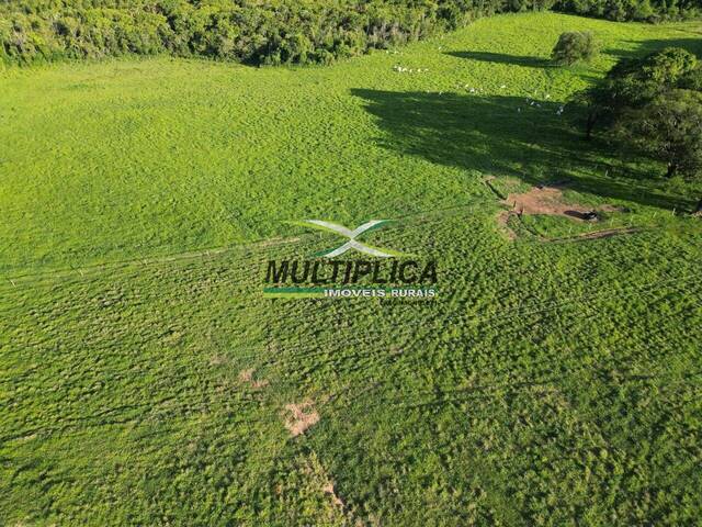 #722 - Fazenda para Venda em Uberaba - MG - 1