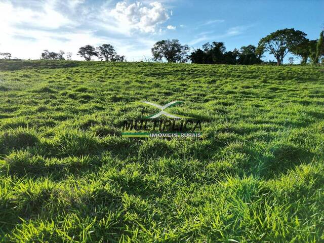 #722 - Fazenda para Venda em Uberaba - MG - 2
