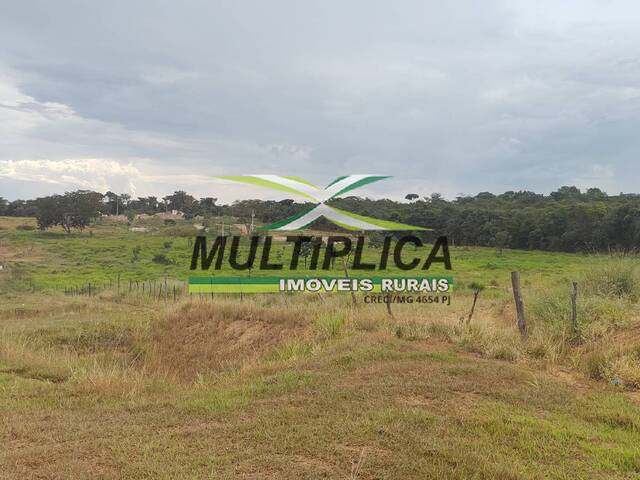 #723 - Chácara para Venda em Uberlândia - MG - 1