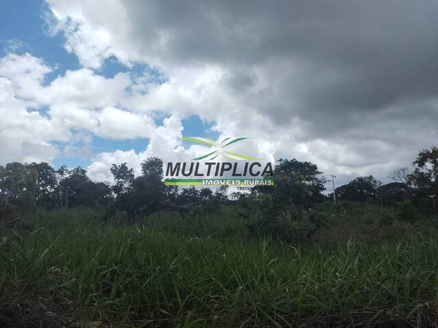 #724 - Chácara para Venda em Uberlândia - MG - 3