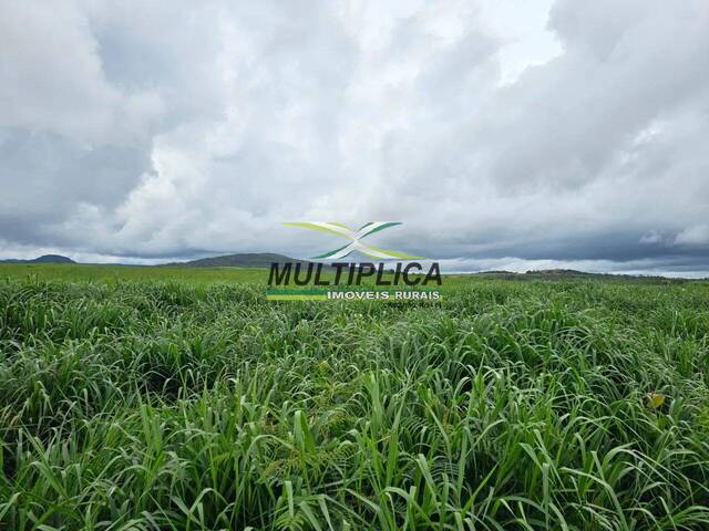 #729 - Fazenda para Venda em Goiás - GO - 1