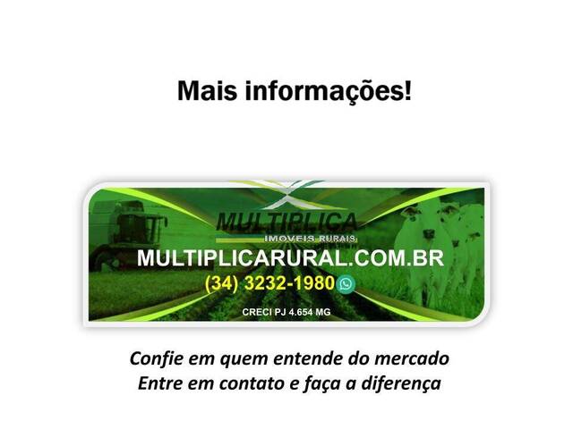 #729 - Fazenda para Venda em Goiás - GO - 2