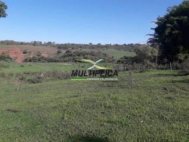 #730 - Fazenda para Venda em Uberlândia - MG - 1