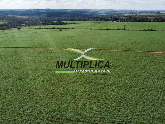 #731 - Fazenda para Venda em Catalão - GO - 1