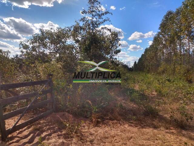 Fazenda à venda em Santa Fé de Minas em MG