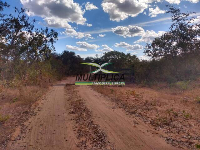Fazenda para Venda em Santa Fé de Minas - 5