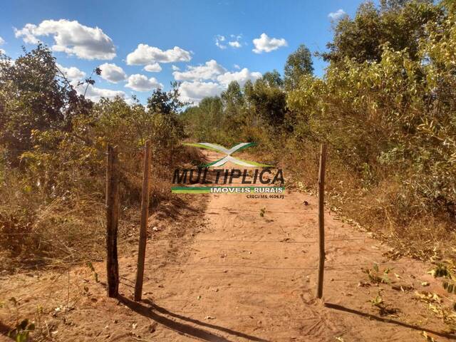 Fazenda à venda em Santa Fé de Minas para Pecuária.