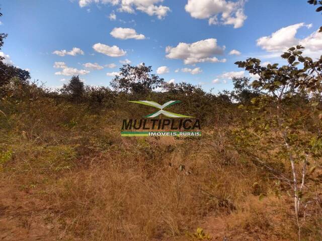 #443 - Fazenda para Venda em Santa Fé de Minas - MG - 2