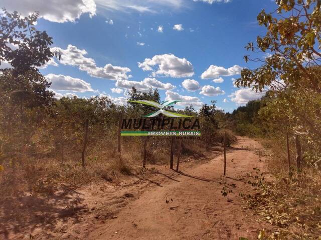 Venda em Centro - Santa Fé de Minas