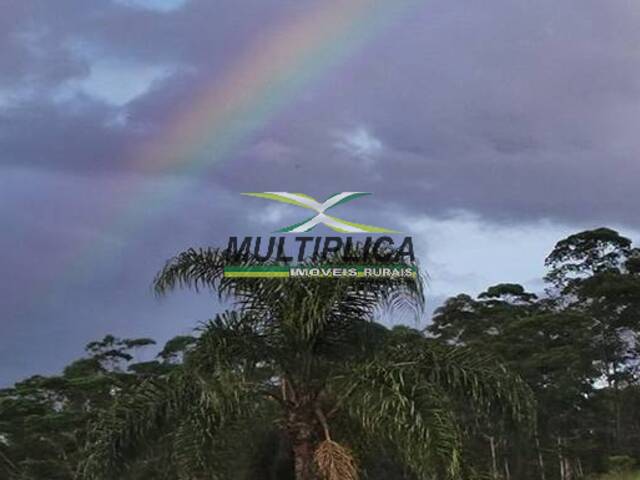 #702 - Sítio para Venda em Ouro Preto - MG - 3