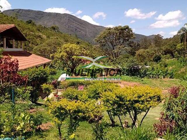 Sítio para Venda em Ouro Preto - 4
