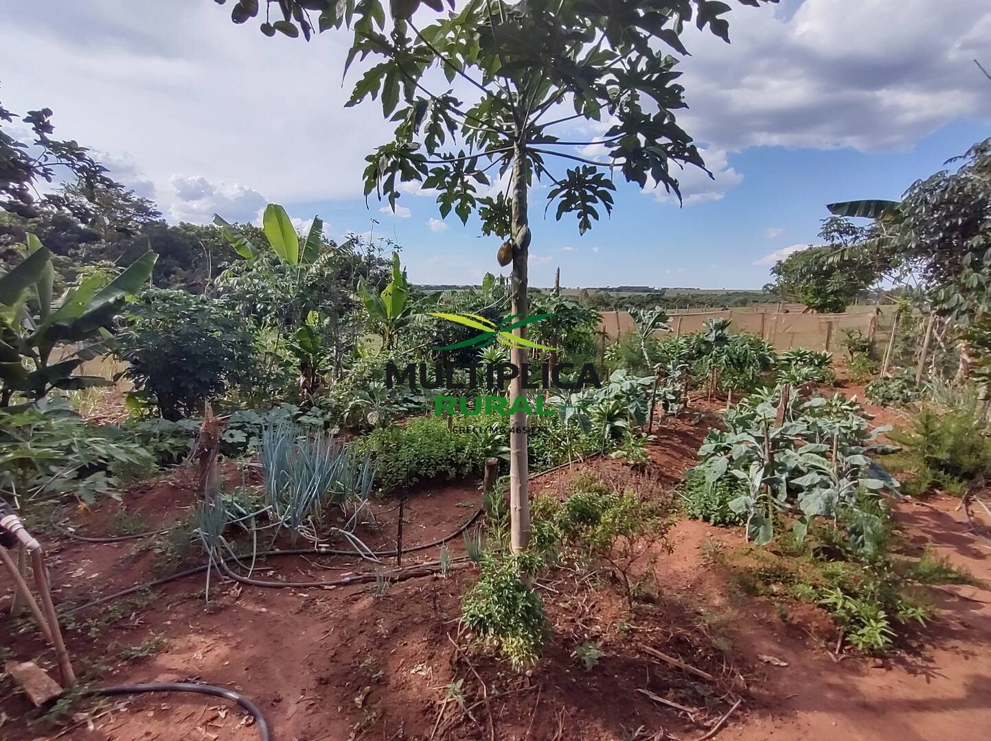 Terreno, 200 m² - Foto 25