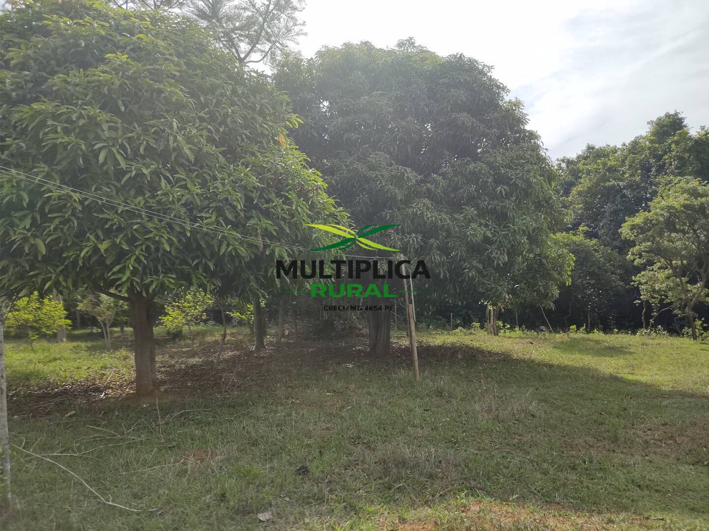 Terreno, 200 m² - Foto 29