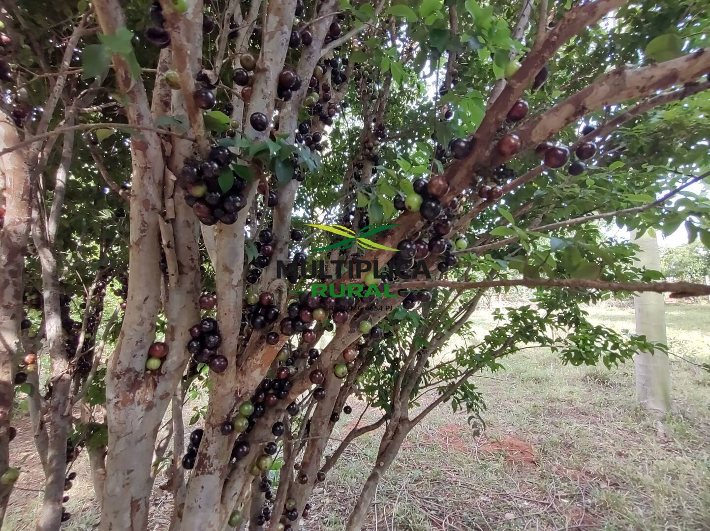 Terreno, 200 m² - Foto 31