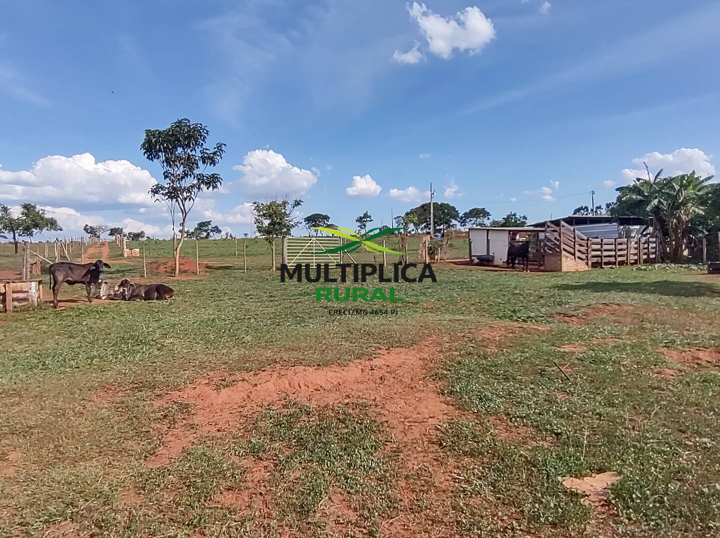 Terreno, 200 m² - Foto 36