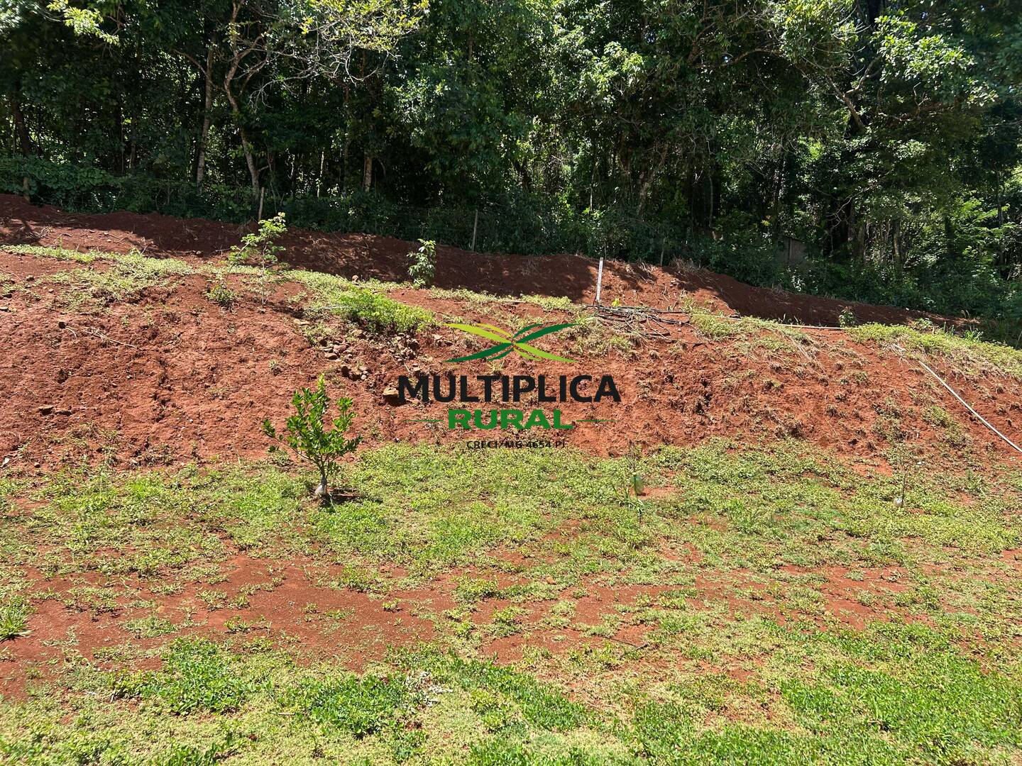 Terreno, 2 m² - Foto 10